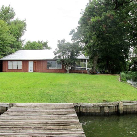 Main View