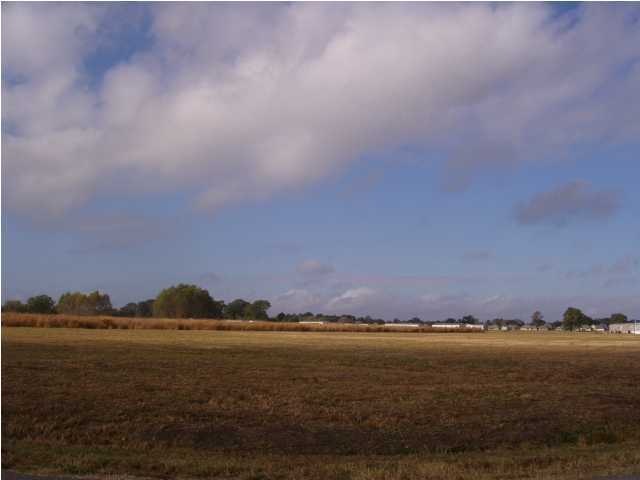 Primary Photo