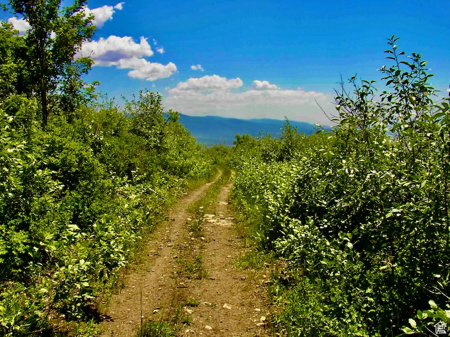 23165 Hillside Dr unit G23, Fairview, UT 84629 - photo 1