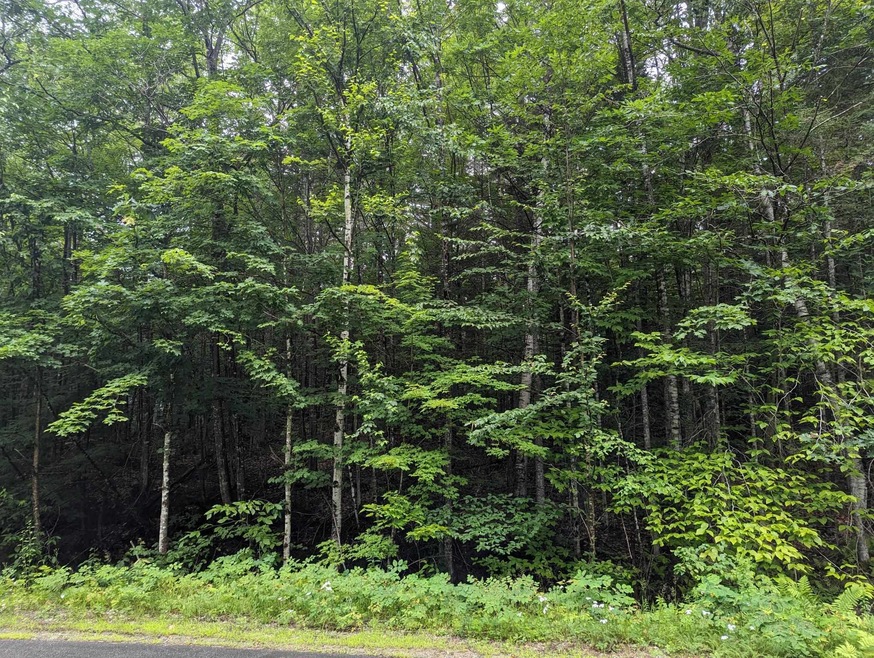 5-7-8 Donovan Farm Rd, Campton, NH 03223 - photo 1