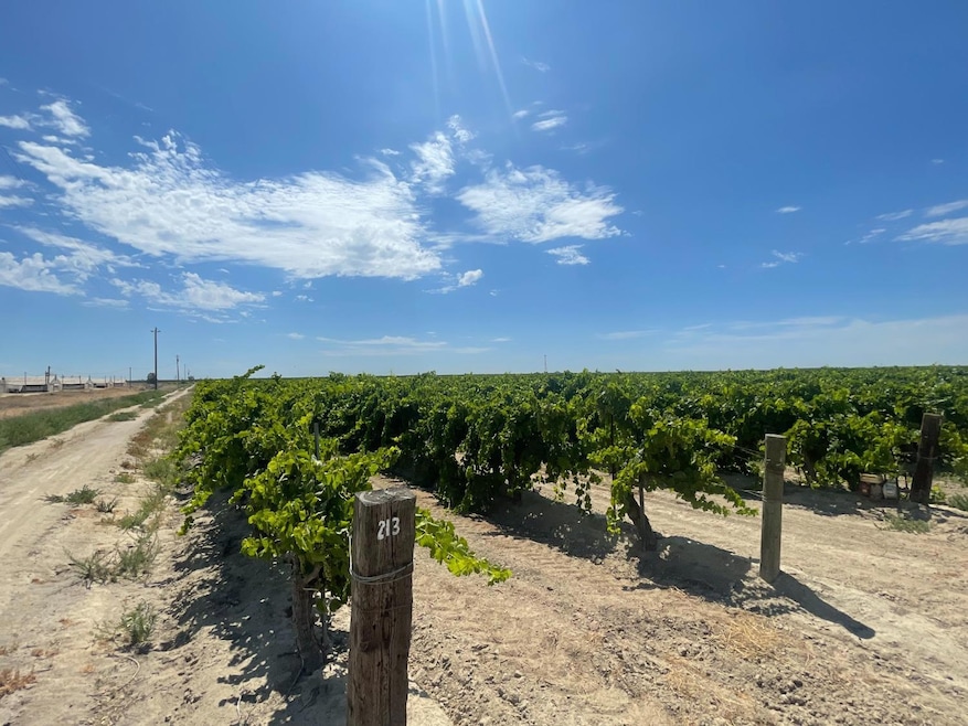 1 S Plumas Ave, Kerman, CA 93630 - photo 1