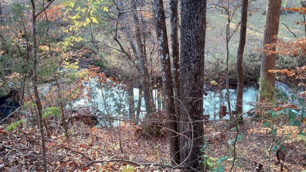 IMG_20241126_160033417_HDR