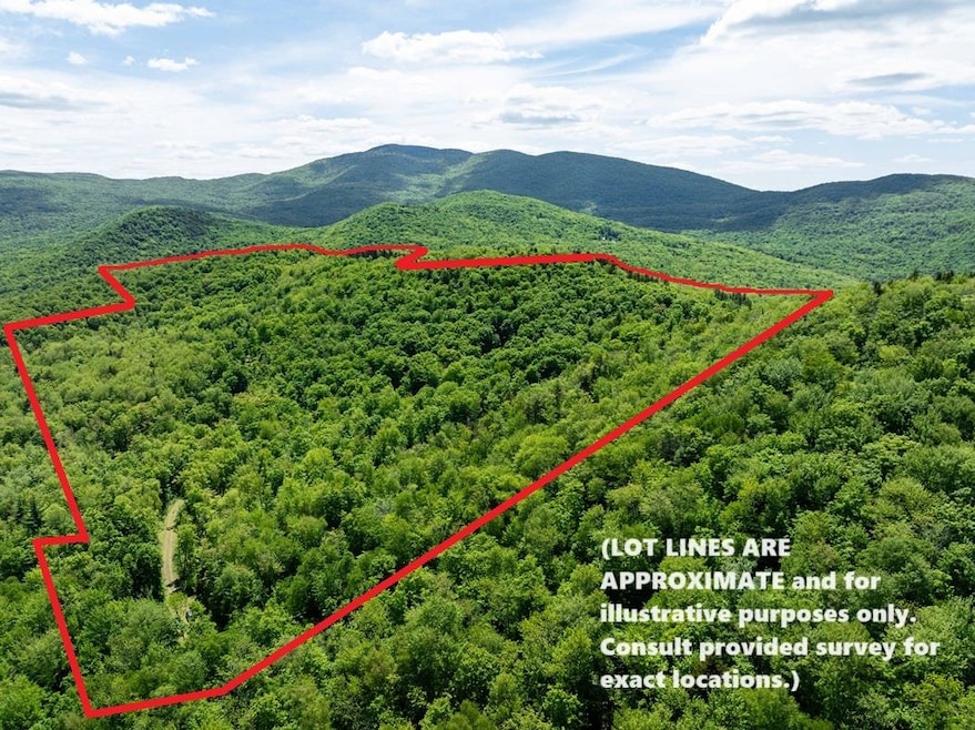 00 Deep Gibou Rd, Montgomery, VT 05471 - photo 1