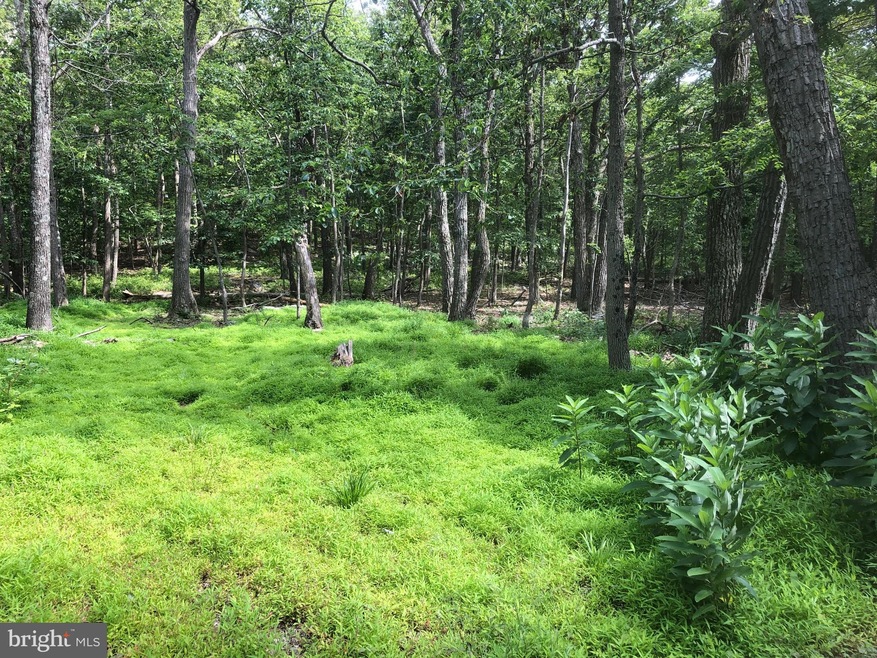 LOT 42, 43 Eagles Nest Ln, Harpers Ferry, WV 25425 - photo 1