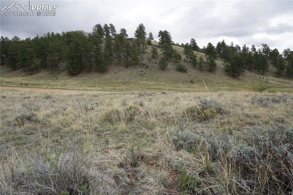 Sold $42,000 • Co-Listing Agent