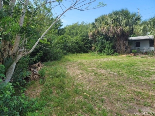 left side view showing some trees and lawn