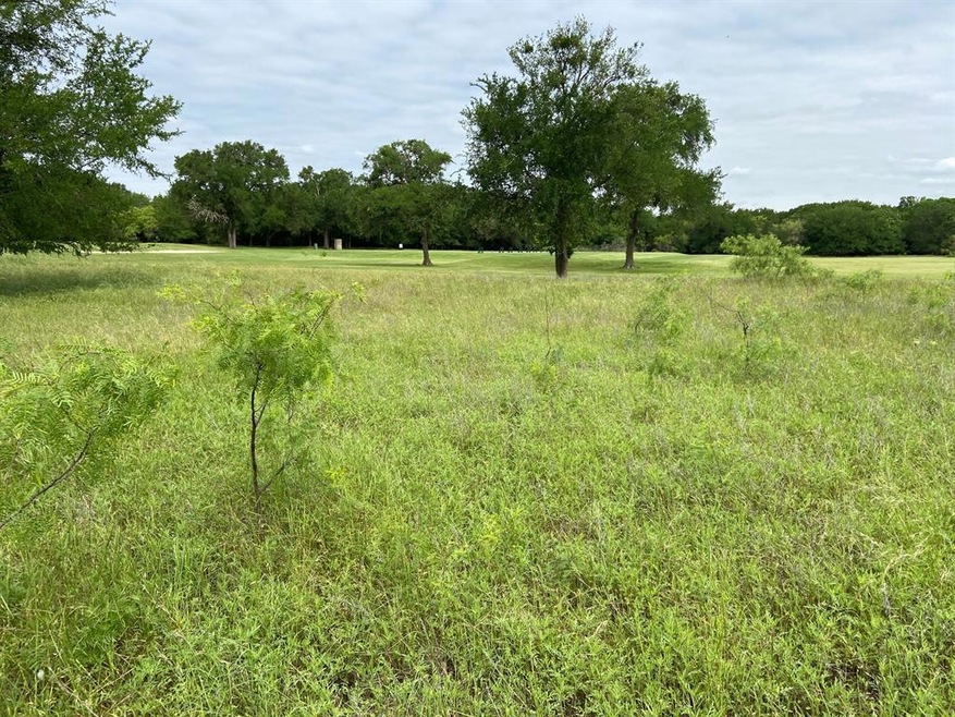 17025 Trailwood Dr, Whitney, TX 76692 - photo 1