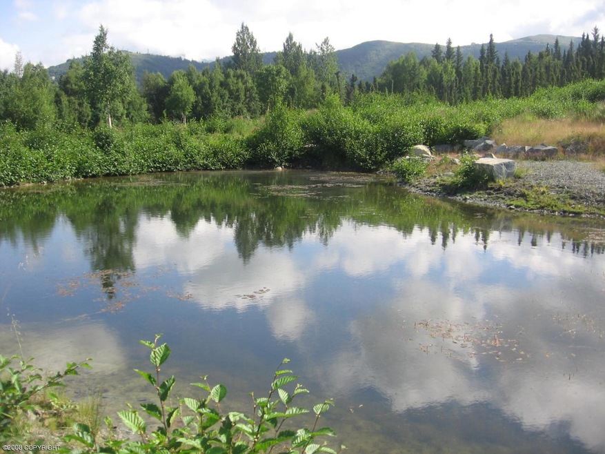 Pond