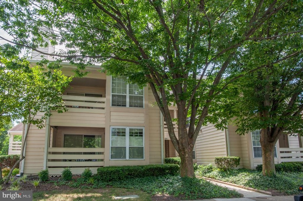 4551 Interlachen Ct unit D, Alexandria, VA 22312 - photo 1