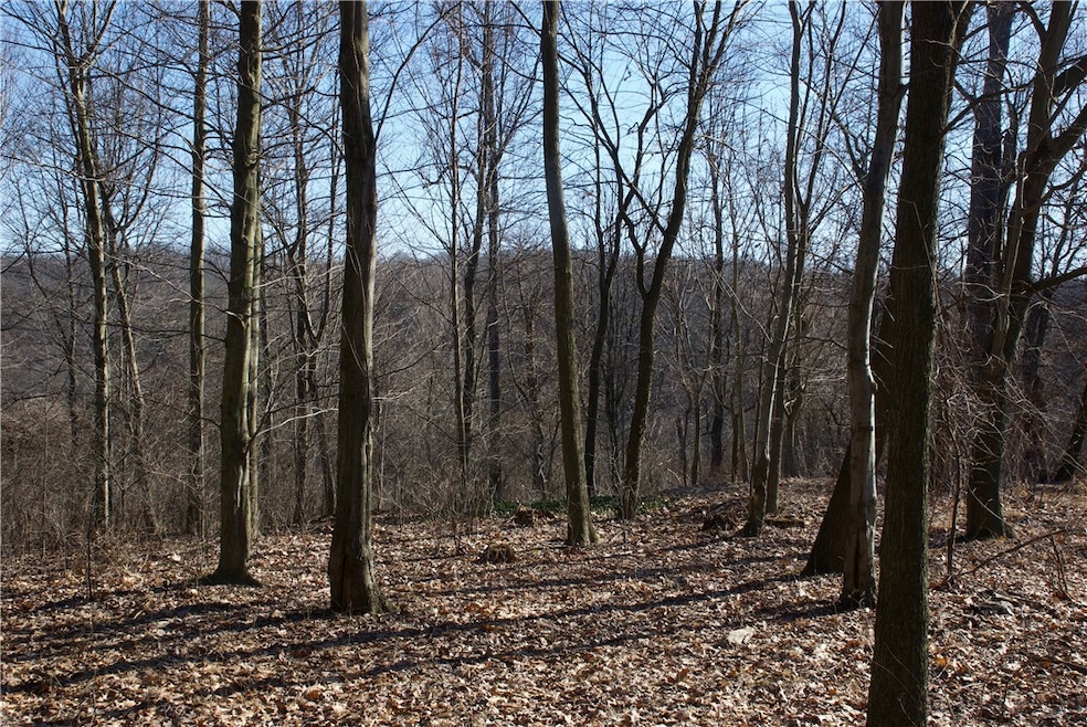 Southern Portion of lot containing Plan of Lots buildable area of over 17K SF.