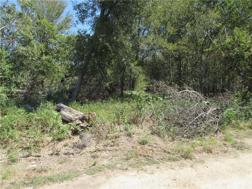 0 Cr 2872 St unit 226619, Marlin, TX 76661 - photo 1