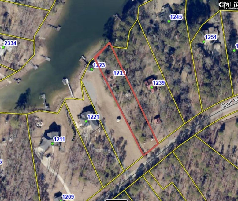 1233 Shull Island Rd, Gilbert, SC 29054 - photo 1