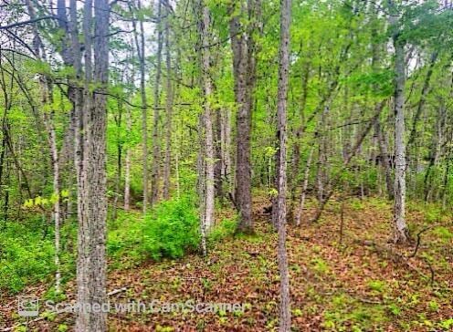 wooded