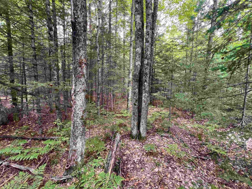 0 Bruette Rd unit 50314133, Wausaukee, City of, WI 54177 - photo 1