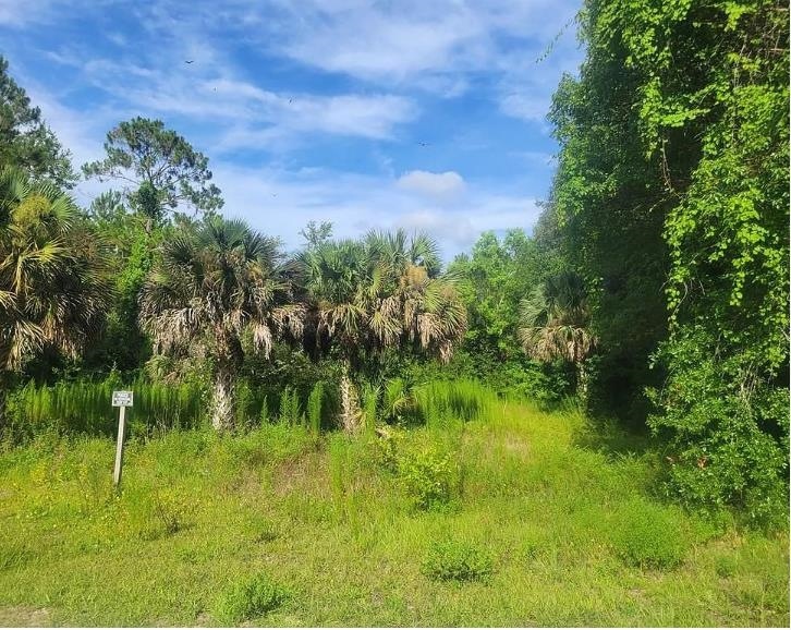 602 NW 10th St, Carrabelle, FL 32322 - photo 1