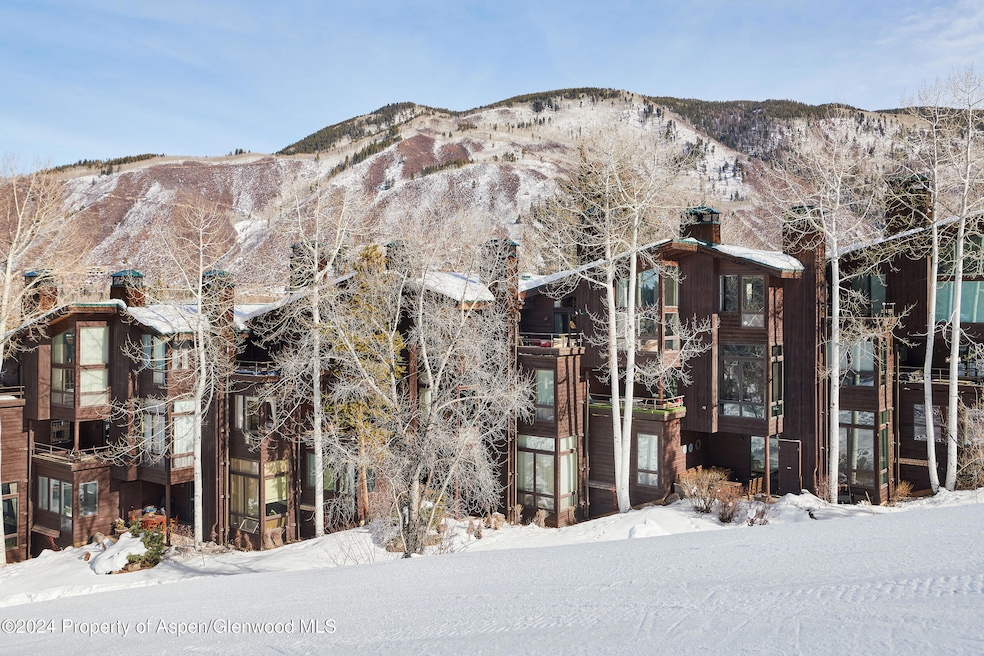 800 S Monarch St unit 6, Aspen, CO 81611 - photo 1