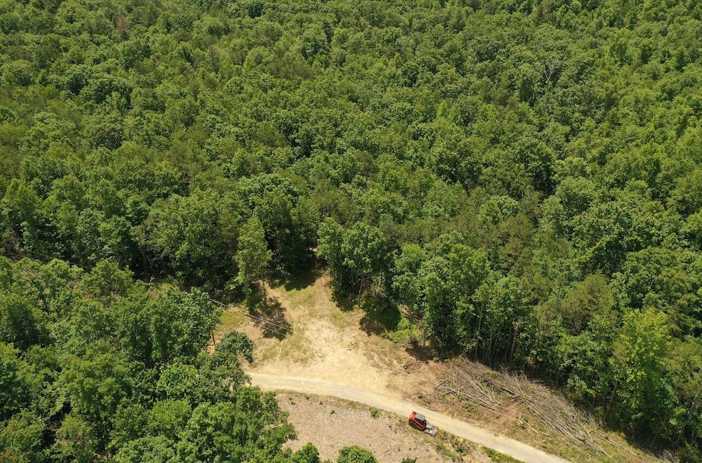 Sold $95,000 • Co-Listing Agent