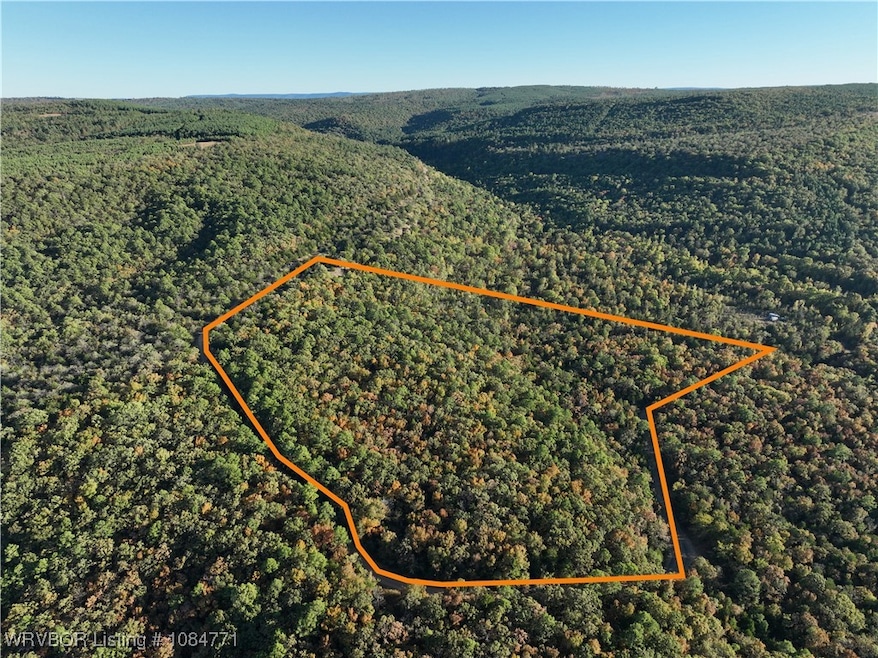 Tract 3 Benson Ln, Heavener, OK 74937 - photo 1