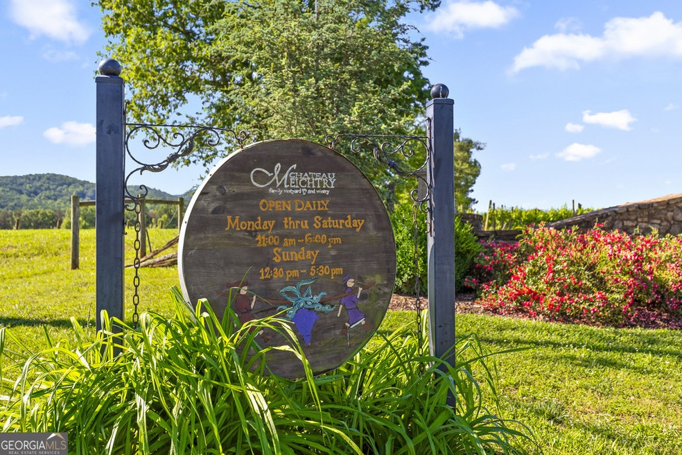 LOT 447 Woodward Way, Talking Rock, GA 30175 - photo 1