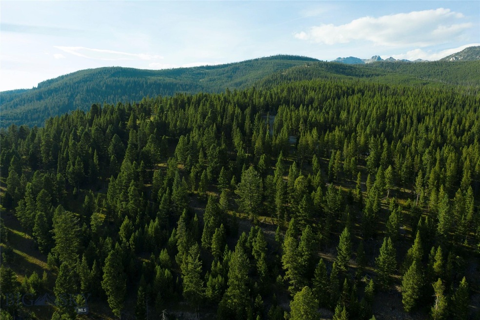 24 Old Toby Rd, Big Sky, MT 59716 - photo 1