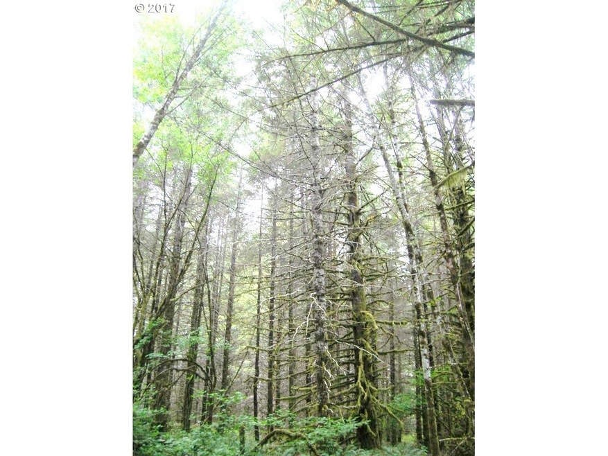 0 Wildwood Rd unit 17549433, Monmouth, OR 97361 - photo 1