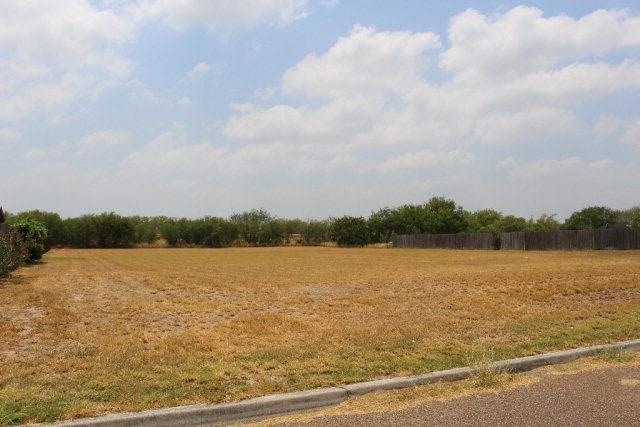 Lot 16 Pueblo Del Sol St W, Weslaco, TX 78599 - photo 1