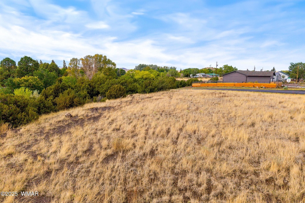 00 W Tbd 10th St, Eagar, AZ 85925 - photo 1