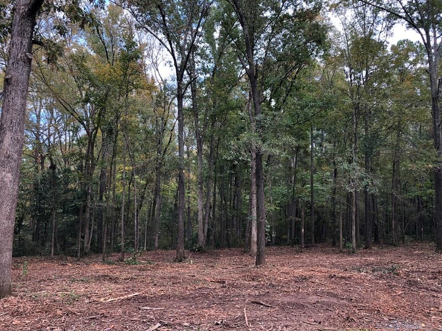 4581 Gray Ln, Evans, GA 30809 - photo 1