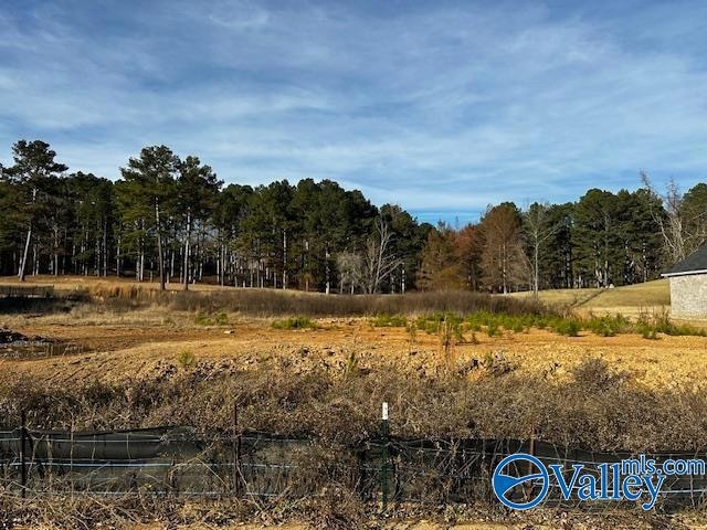 Lot 11 Cherokee Ridge Dr, Cherokee Ridge, AL 35175 - photo 1