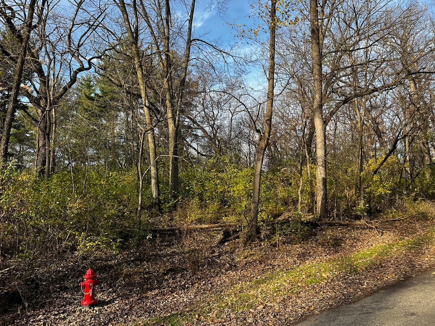 107 Maple Ln, Dixon, IL 61021 - photo 1