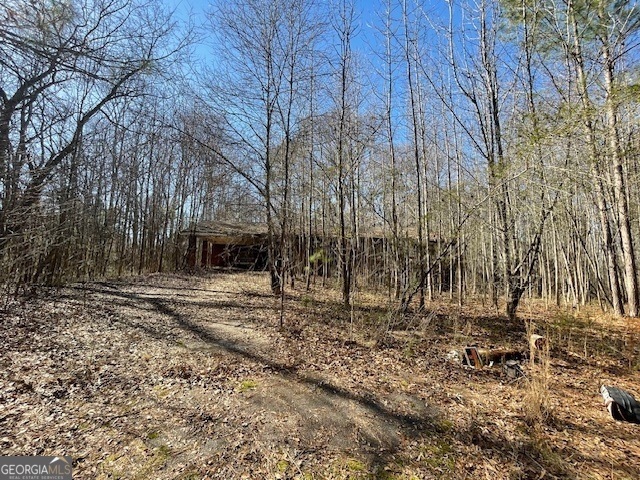 7405 Highway 155, Ellenwood, GA 30294 - photo 1