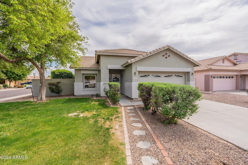 3-web-or-mls-Longhorn-3