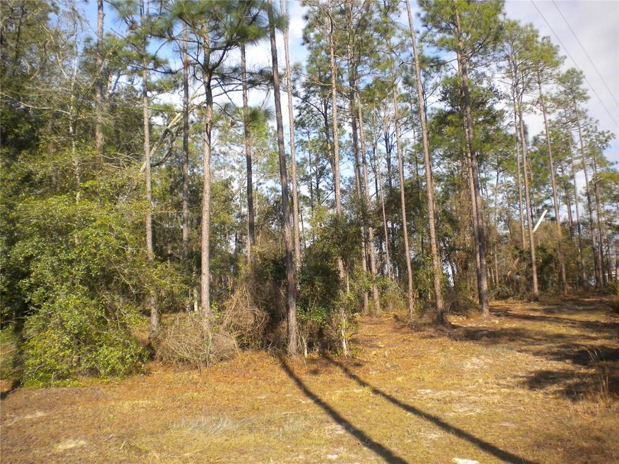 LOT 24 SW Timberlake Rd, Dunnellon, FL 34431 - photo 1