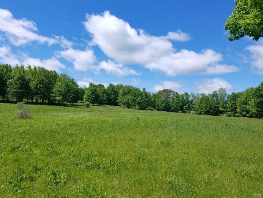 00 German Hill Rd Rd, Greenwood, NY 14839 - photo 1