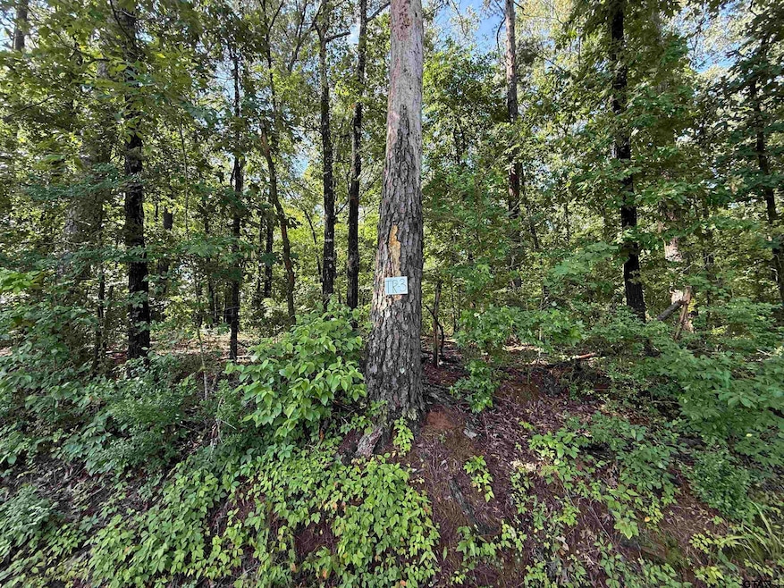 TBD County Road 4194, Henderson, TX 75654 - photo 1