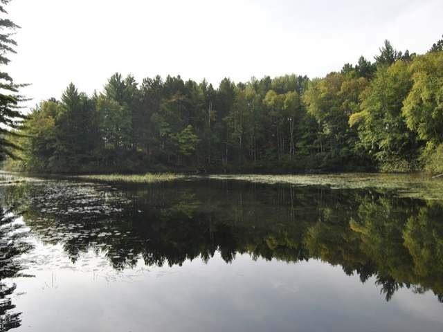 w 8367 Shipwreck Ln, Tomahawk, WI 54487 - photo 1
