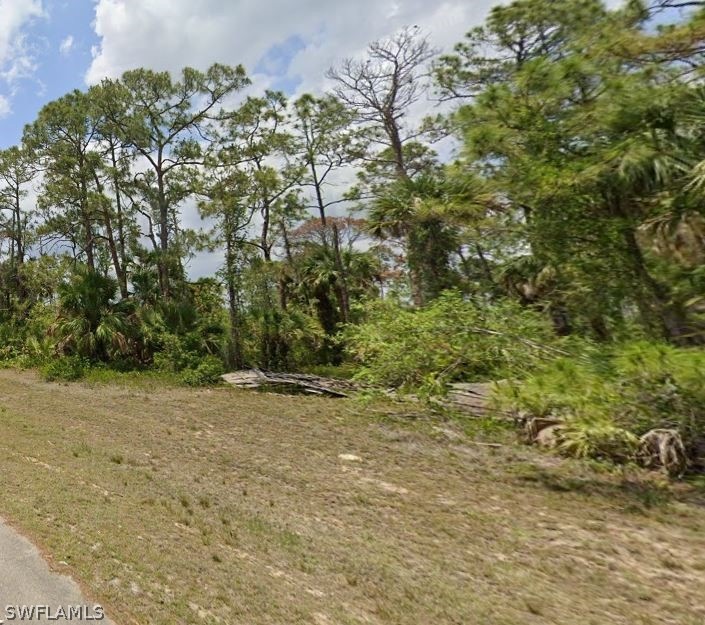 View of local wilderness