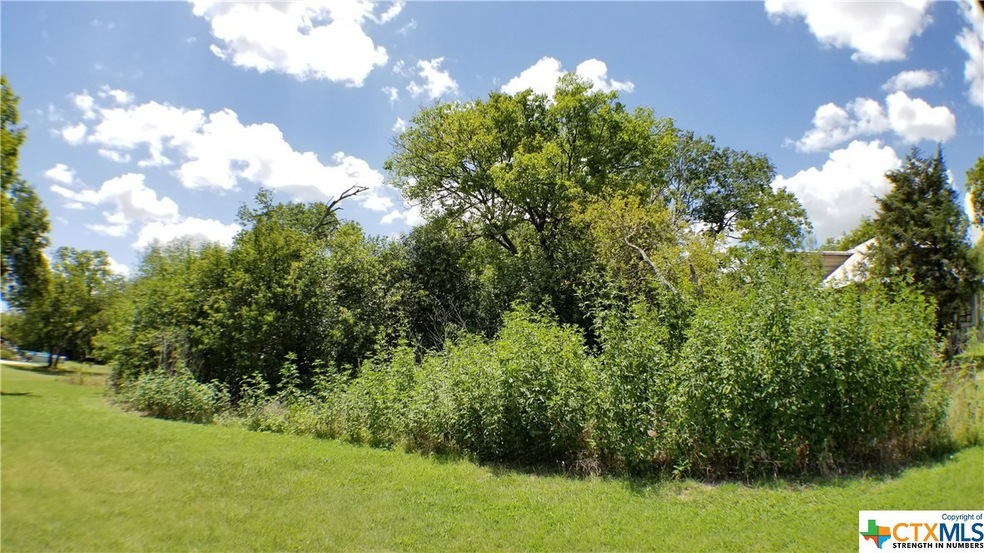 0000 Plum St, Bruceville, TX 76630 - photo 1