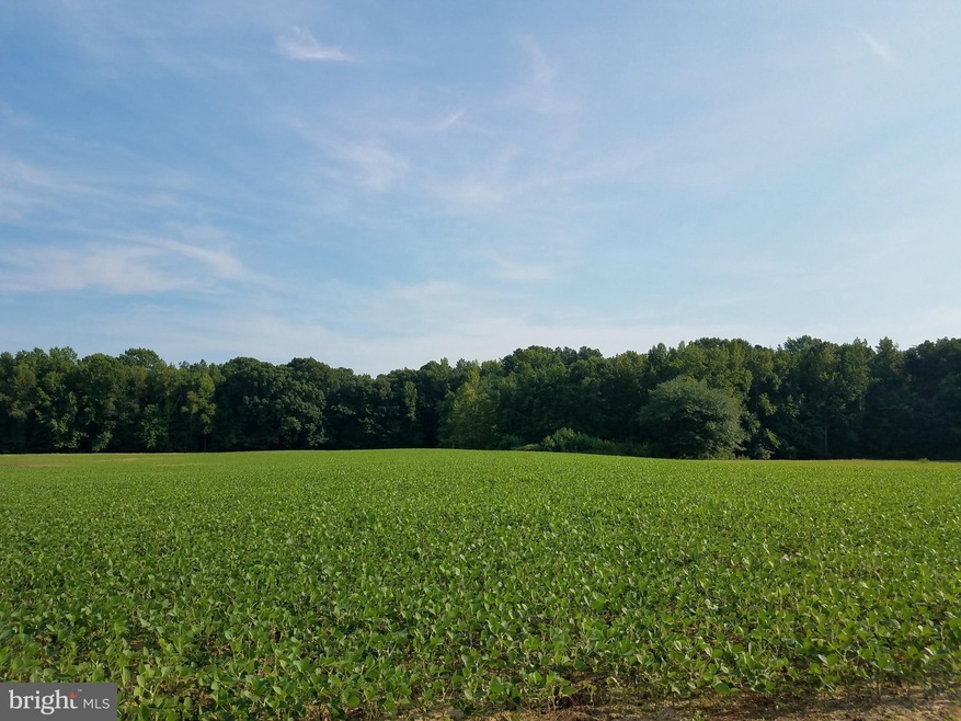 0 Mount Zion Cir unit 1000132514, Centreville, MD 21617 - photo 1