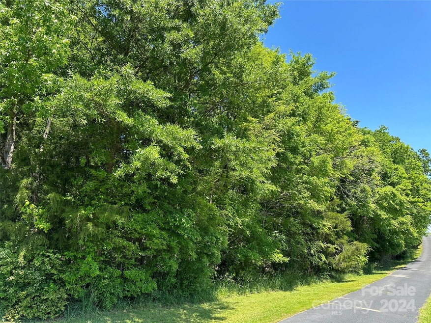 0 Forest Hills School Rd, Marshville, NC 28103 - photo 1