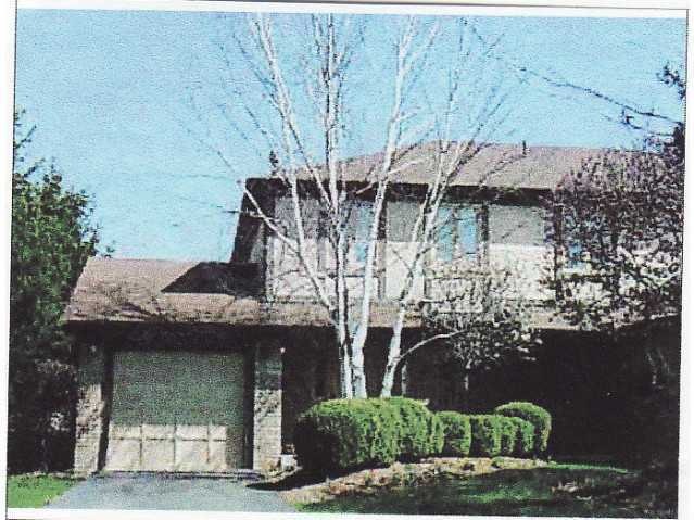 Primary Photo