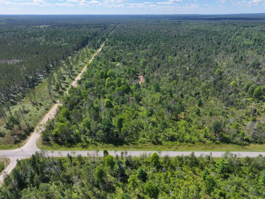 V L 10a 72nd St, Idlewild, MI 49642 - photo 1