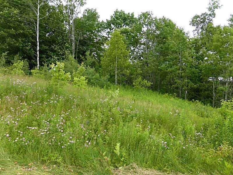 Land/Lot.