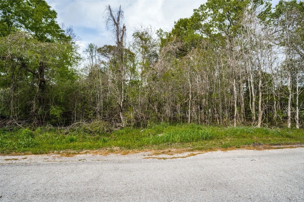 0 County Road 4322 Holly St, Dayton, TX 77535 - photo 1