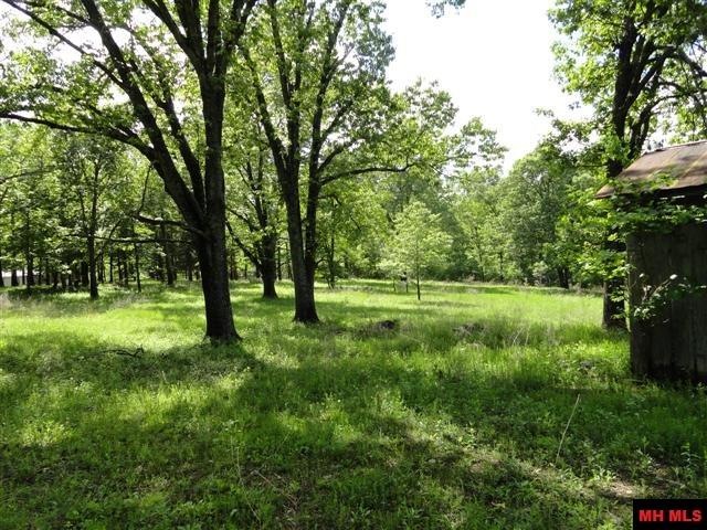 000 Diamond Bay Rd, Union Township, AR 72531 - photo 1