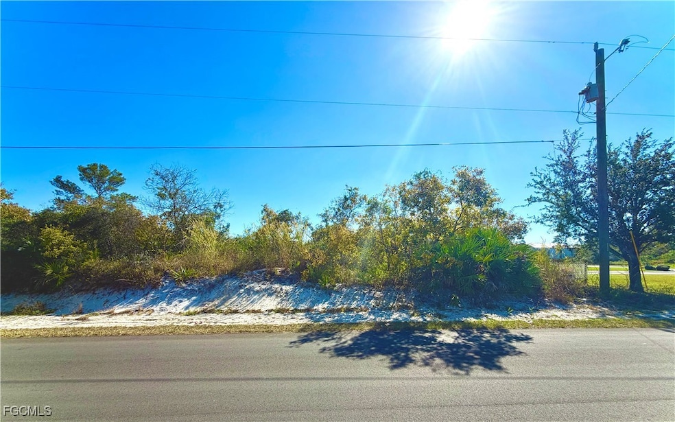 157 Cumberland St, Lake Placid, FL 33852 - photo 1