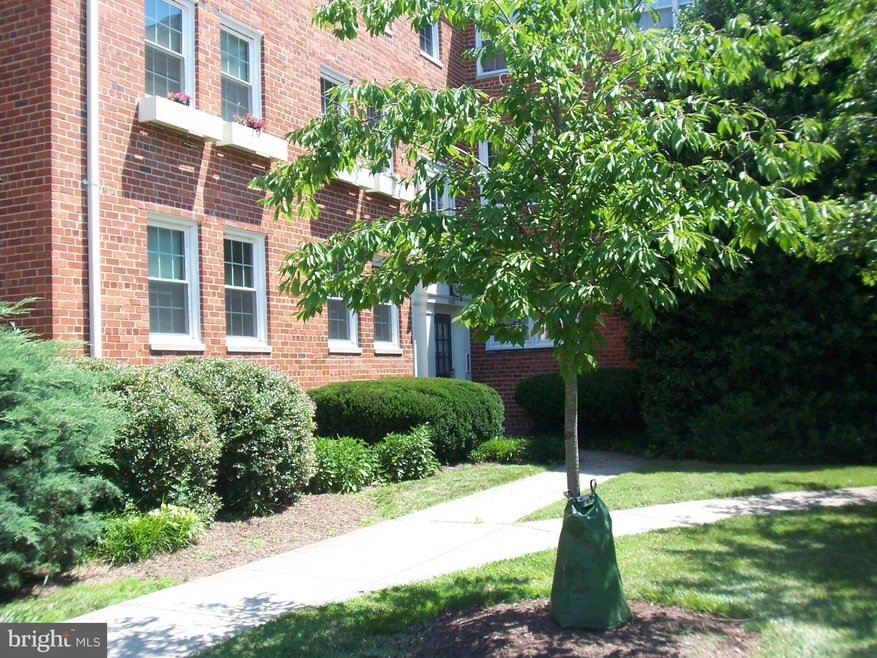 6609 10th St unit A1, Alexandria, VA 22307 - photo 1