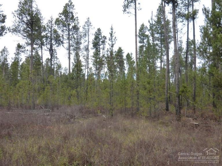 17320 Jacinto, Bend, OR 97707 - photo 1