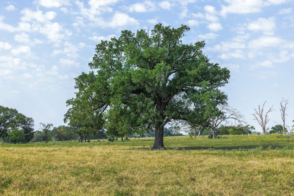 Tbd Rolke Ranch Rd, Franklin, TX 77856 - photo 1