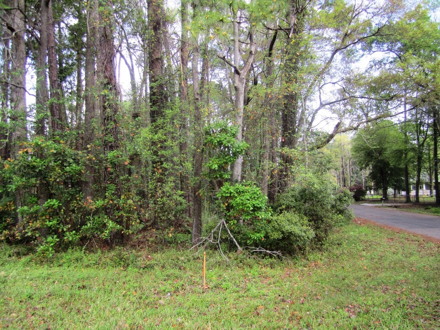 0 Benlocke Rd unit 752732, Jacksonville, FL 32210 - photo 1